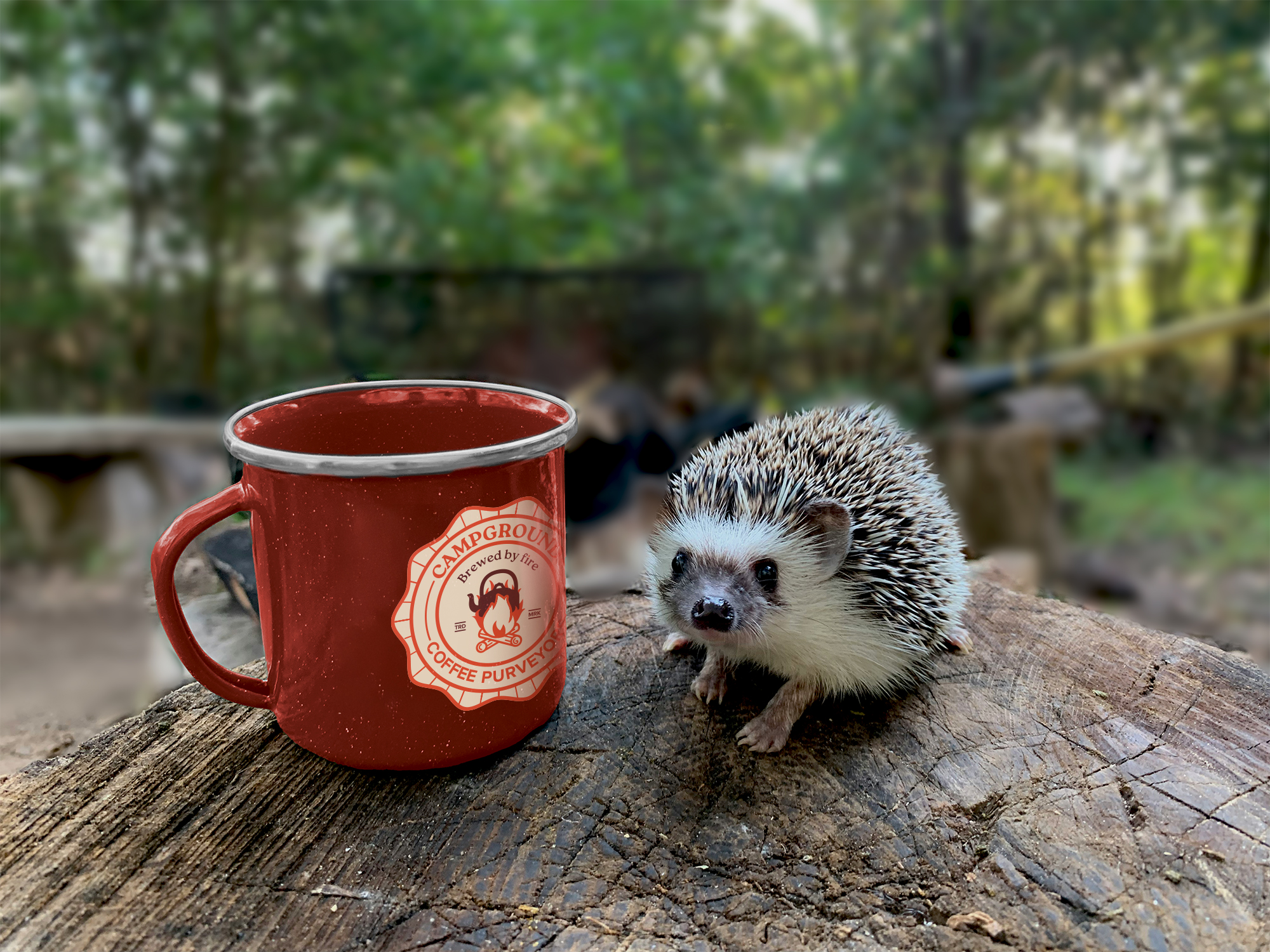 Campground_Mug_Hedgehog